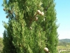 dscn0142