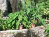 dscn0148