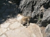 dscn0150